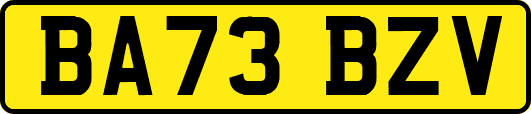 BA73BZV