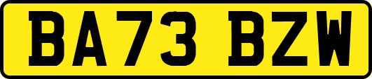 BA73BZW