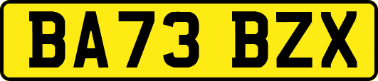 BA73BZX
