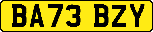 BA73BZY