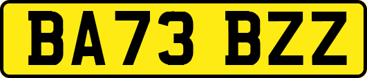 BA73BZZ
