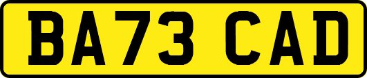 BA73CAD
