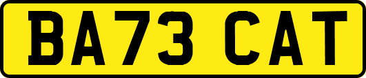 BA73CAT