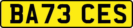 BA73CES