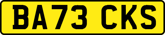 BA73CKS