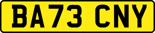 BA73CNY