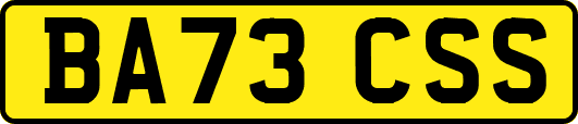 BA73CSS