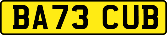 BA73CUB