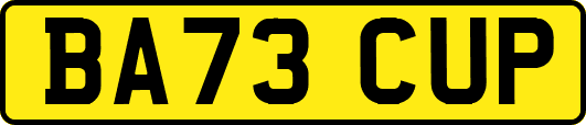 BA73CUP