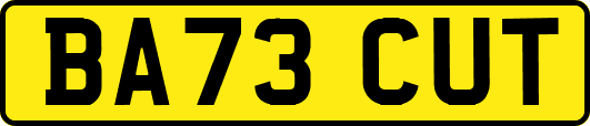BA73CUT