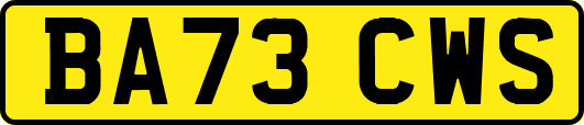 BA73CWS
