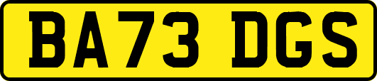 BA73DGS