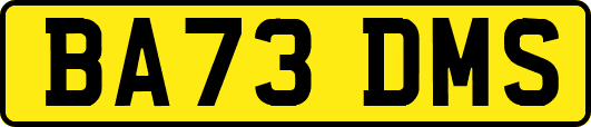 BA73DMS