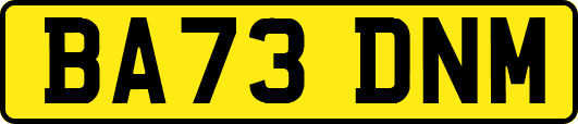 BA73DNM