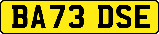 BA73DSE