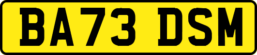 BA73DSM