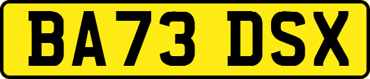 BA73DSX
