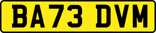 BA73DVM