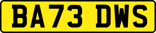 BA73DWS