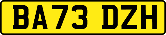 BA73DZH
