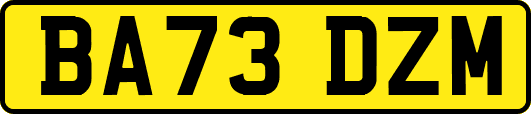 BA73DZM