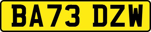 BA73DZW