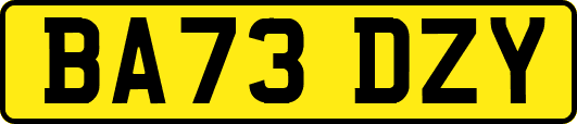 BA73DZY