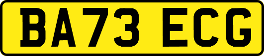 BA73ECG