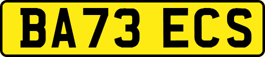 BA73ECS