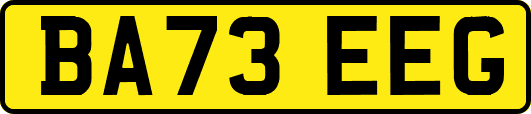 BA73EEG