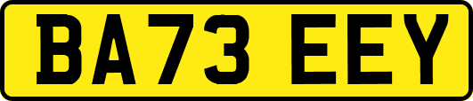 BA73EEY