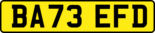 BA73EFD