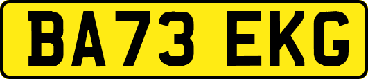 BA73EKG