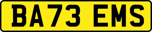 BA73EMS