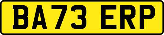 BA73ERP