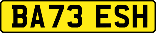 BA73ESH
