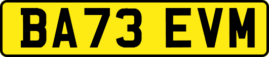 BA73EVM
