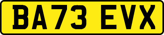 BA73EVX
