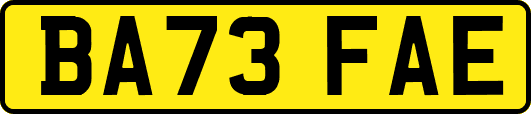 BA73FAE
