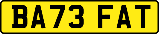 BA73FAT