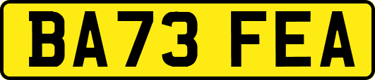 BA73FEA