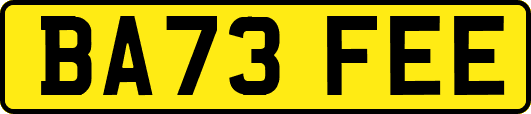 BA73FEE