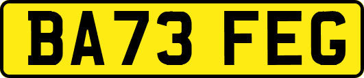 BA73FEG