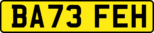 BA73FEH