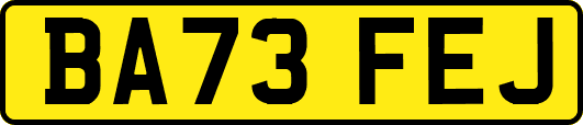 BA73FEJ