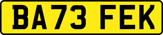 BA73FEK