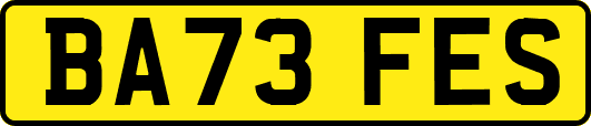 BA73FES