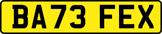 BA73FEX
