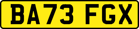 BA73FGX