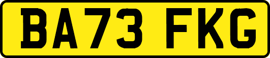 BA73FKG